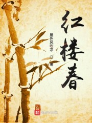贾珍贾蔷小说《梦回红楼》全文免费阅读