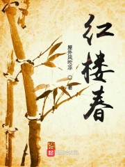 梦回红楼全文在线阅读，梦回红楼小说免费版-优文网