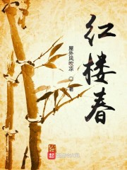 小说《梦回红楼》全文免费阅读-锤石文学