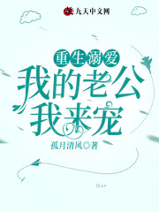 小说《重生溺爱，我的老公我来宠！》全文免费阅读-锤石文学