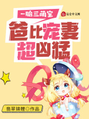 一胎三萌宝，爸比宠妻超凶猛！全文在线阅读，一胎三萌宝，爸比宠妻超凶猛！小说免费版-优文网