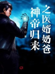 神帝归来之医婿奶爸全文在线阅读，神帝归来之医婿奶爸小说免费版-优文网