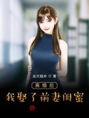 小说《离婚后，我娶了前妻闺蜜》全文免费阅读-锤石文学