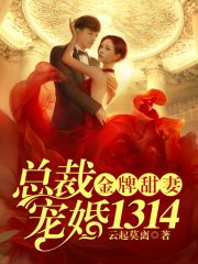 金牌甜妻，总裁宠婚1314免费阅读