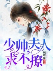 少帅，夫人求不撩全文在线阅读，少帅，夫人求不撩小说免费版-优文网