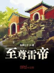 至尊雷帝全文在线阅读，至尊雷帝小说免费版-优文网