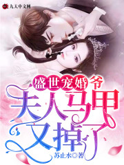 盛世宠婚：爷，夫人马甲又掉了！全文在线阅读，盛世宠婚：爷，夫人马甲又掉了！小说免费版-优文网
