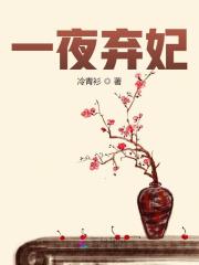 一夜弃妃全文在线阅读，一夜弃妃小说免费版-优文网