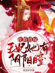 主角洛星辰独孤寒小说夜婚错嫁：王妃她有阴阳瞳免费阅读-瑞奇文学