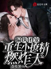 偏执团宠，重生小撩精燃炸天全文在线阅读，偏执团宠，重生小撩精燃炸天小说免费版-优文网