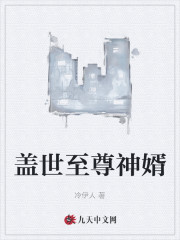 盖世至尊神婿全文在线阅读，盖世至尊神婿小说免费版-优文网