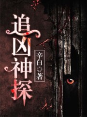 追凶神探全文在线阅读，追凶神探小说免费版-优文网