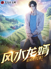 天运龙婿全文在线阅读，天运龙婿小说免费版-优文网