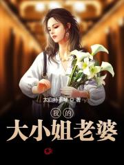 《我的大小姐老婆》全集免费在线阅读（秦玉颜若雪）