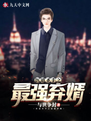 医道圣手之最强弃婿全文在线阅读，医道圣手之最强弃婿小说免费版-优文网
