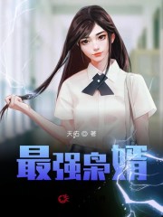最强枭婿全文在线阅读，最强枭婿小说免费版-优文网