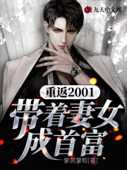 重返2001：带着妻女成首富免费阅读