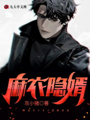 麻衣隐婿全文在线阅读，麻衣隐婿小说免费版-优文网