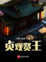 贞观贤王全文在线阅读，贞观贤王小说免费版-优文网