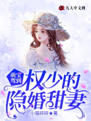 萌宝驾到：权少的隐婚甜妻全文在线阅读，萌宝驾到：权少的隐婚甜妻小说免费版-优文网