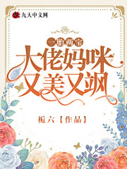 小说《一胎两宝：大佬妈咪又美又飒》全文免费阅读-锤石文学