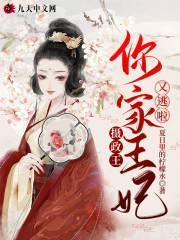 小说《摄政王，你家王妃又逃啦！》全文免费阅读-锤石文学