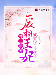 小说《神王独宠：废材王妃倾天下》全文免费阅读-锤石文学