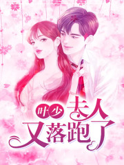 叶少，夫人又跑了免费阅读
