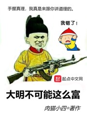 大明不可能这么富全文在线阅读，大明不可能这么富小说免费版-优文网