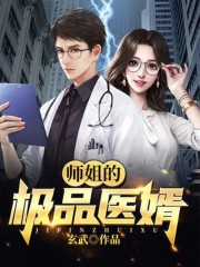 师姐的极品医婿全文在线阅读，师姐的极品医婿小说免费版-优文网