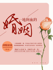 小说《一地狗血的婚姻》全文免费阅读-锤石文学