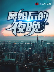离婚后的夜晚全文在线阅读，离婚后的夜晚小说免费版-优文网