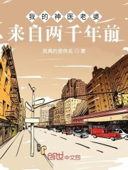 小说《我的神医老婆来自两千年前》全文免费阅读-锤石文学