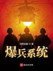 小说《爆兵系统》杨锐 完整版免费阅读