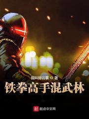 铁拳高手混武林全文在线阅读，铁拳高手混武林小说免费版-优文网
