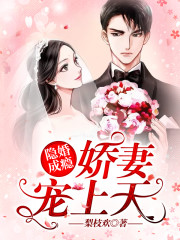 小说《隐婚成瘾：娇妻宠上天》全文免费阅读-锤石文学