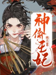神偷王妃全文在线阅读，神偷王妃小说免费版-优文网