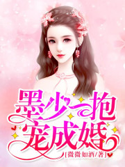 墨少一抱宠成婚全文在线阅读，墨少一抱宠成婚小说免费版-优文网