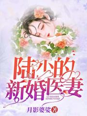 陆少的新婚医妻免费阅读