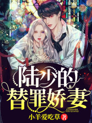 陆少的替罪娇妻全文在线阅读，陆少的替罪娇妻小说免费版-优文网