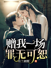 赠我一场罪无可恕全文在线阅读，赠我一场罪无可恕小说免费版-优文网