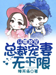 闪婚独宠，总裁宠妻无下限全文在线阅读，闪婚独宠，总裁宠妻无下限小说免费版-优文网