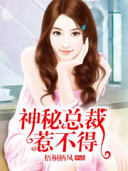 神秘总裁惹不得全文在线阅读，神秘总裁惹不得小说免费版-优文网