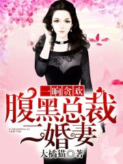 一晌贪欢：腹黑总裁二婚妻全文在线阅读，一晌贪欢：腹黑总裁二婚妻小说免费版-优文网