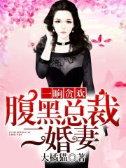 小说《一晌贪欢：腹黑总裁二婚妻》全文免费阅读-锤石文学