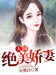 小说《天降绝美娇妻》全文免费阅读-锤石文学