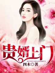 贵婿上门全文在线阅读，贵婿上门小说免费版-优文网