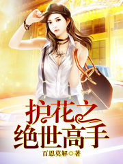 护花之绝世高手免费阅读