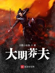 大明莽夫全文在线阅读，大明莽夫小说免费版-优文网