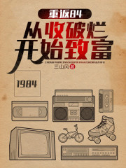 《重返84：从收破烂开始致富》小说大结局免费试读 沈林鲁小荣小说-优文网
